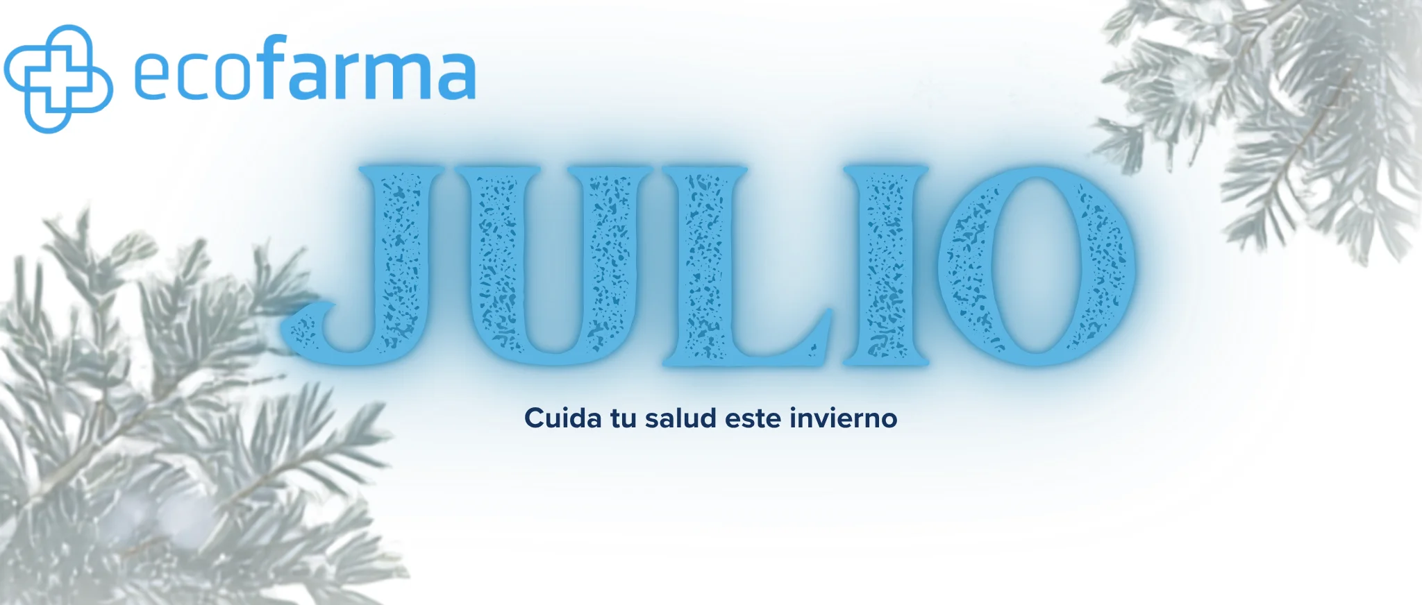 Oferta 1