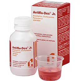 ANTIFLUDES JUNIOR JARABE FCO X 60 ML - Ecofarma