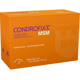 CONDROFLEX MSM CAJA X 30 SOBRES - Ecofarma