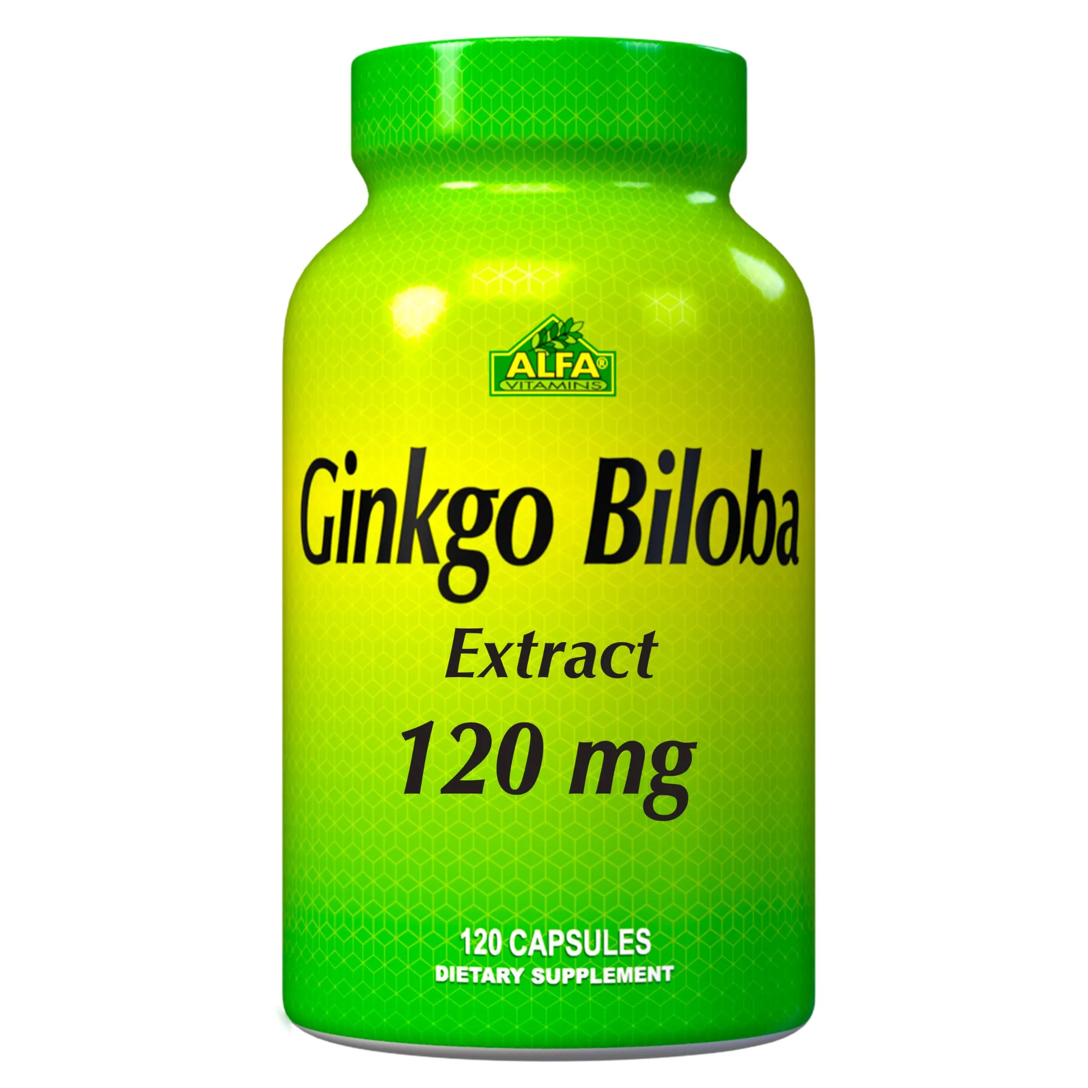 GINKGO BILOBA X 60 CAPS - Ecofarma