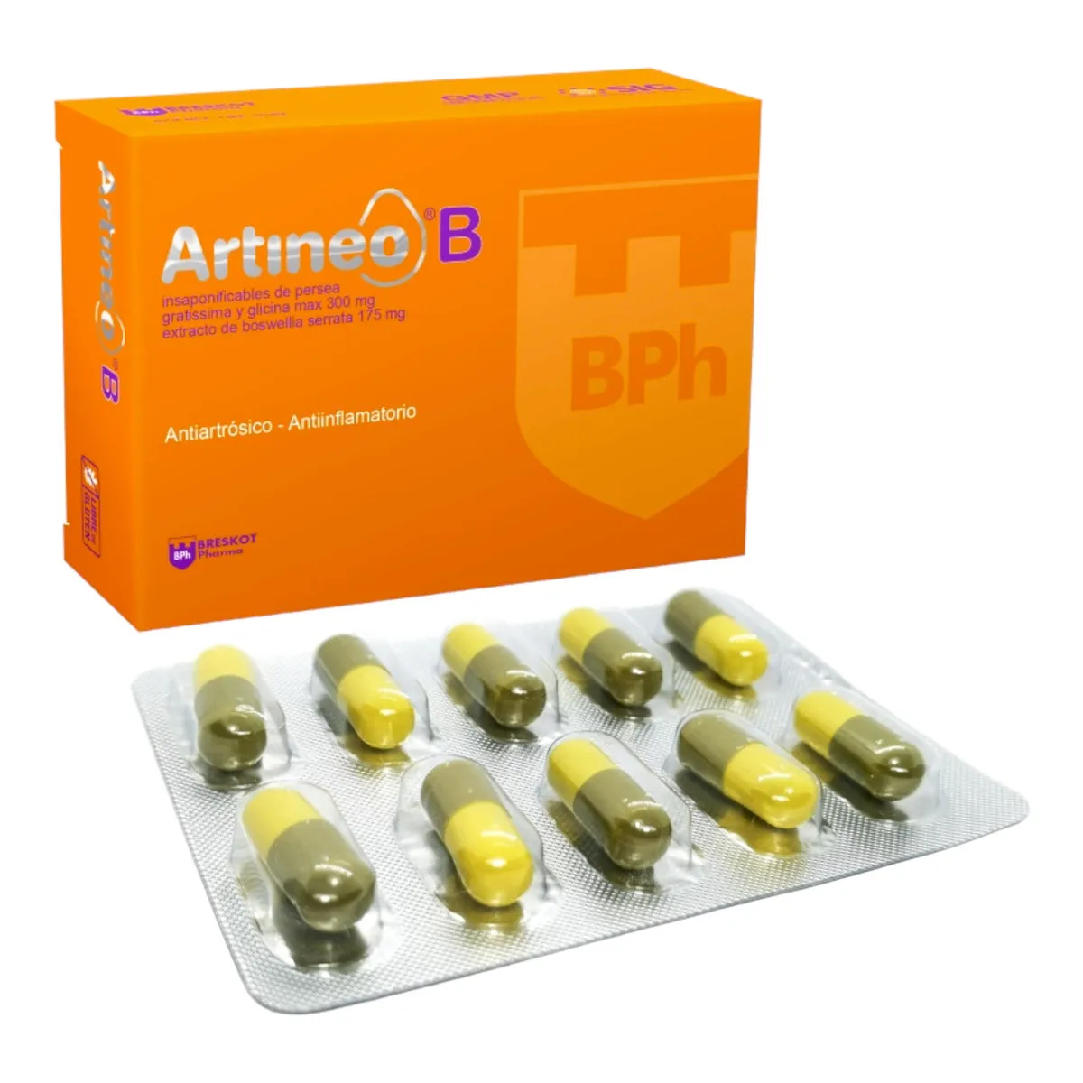 ARTINEO B CAJA X 60 CAPSULAS - Ecofarma