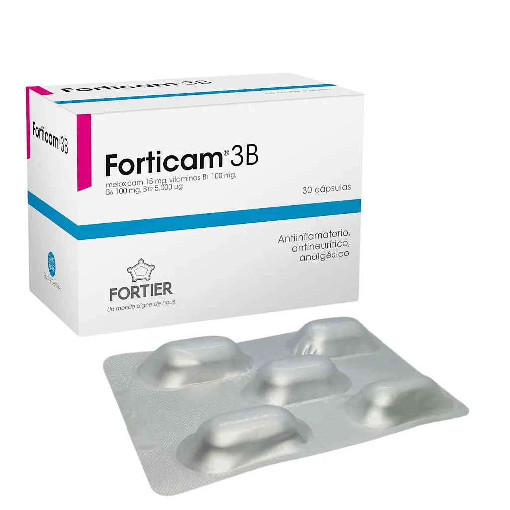 FORTICAM 3 B CAJA X 30 CAPSULAS - Ecofarma