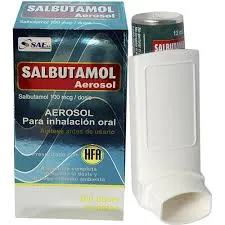 SALBUTAMOL 100 MCG AEROSOL X 200 DOSIS - Ecofarma