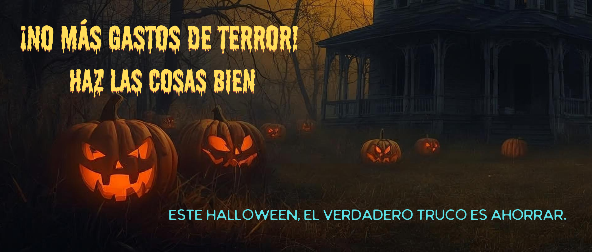 Oferta 1