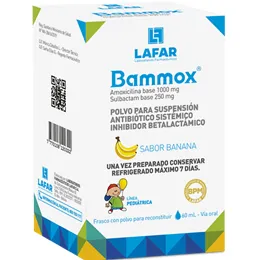 BAMMOX 1000/250 SUSPENCION FRASCO X 60 ML - Ecofarma